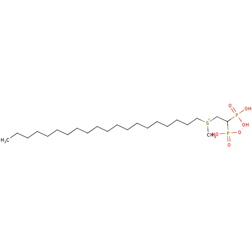 PNG