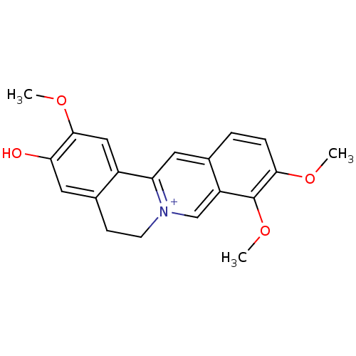 PNG
