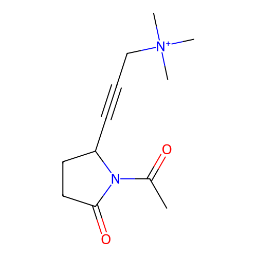 PNG