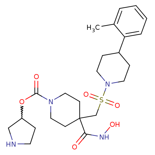 PNG