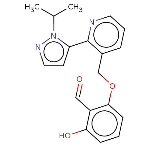 PNG