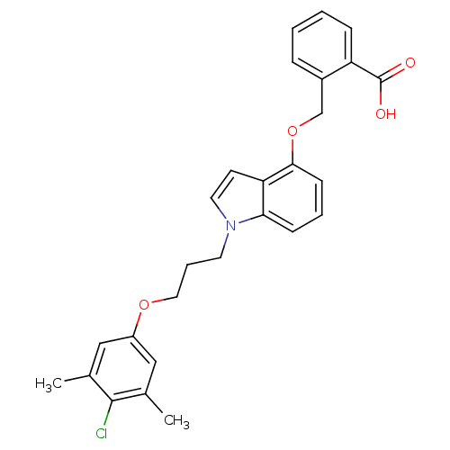 PNG