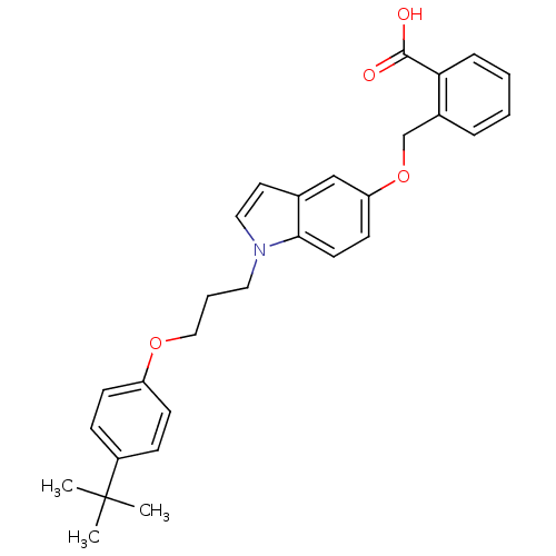 PNG