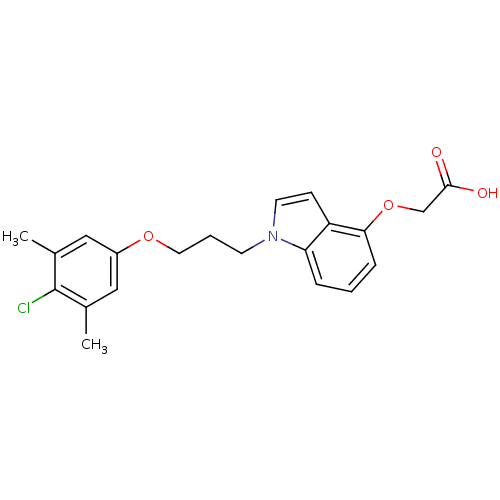 PNG