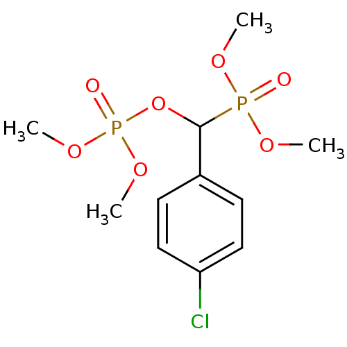 PNG