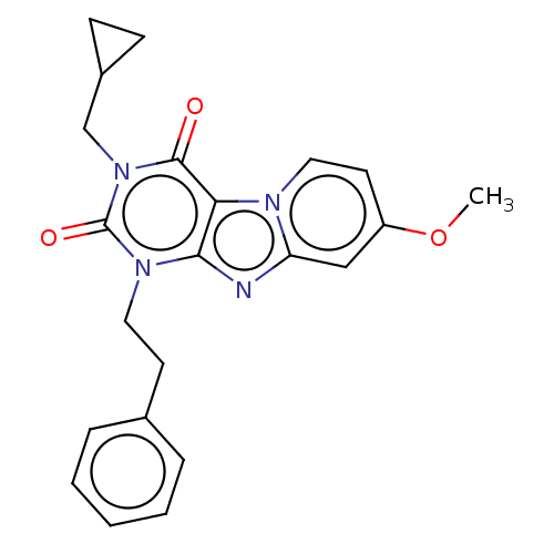 PNG