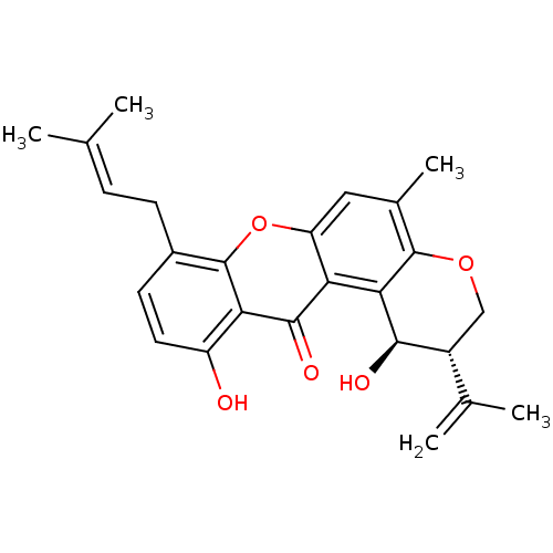 PNG