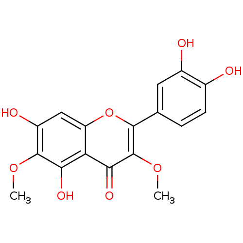 PNG