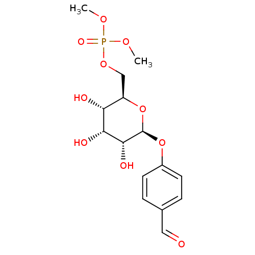 PNG
