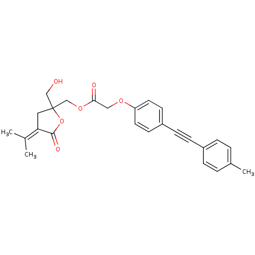 PNG