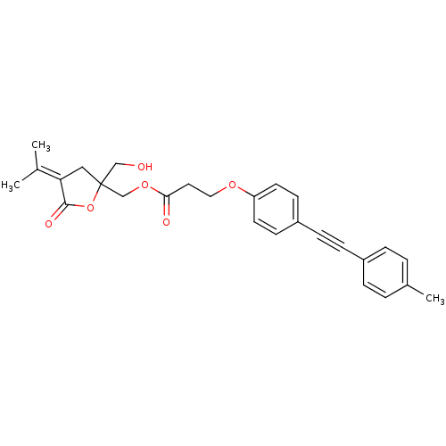 PNG