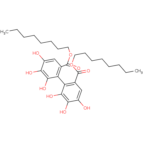 PNG