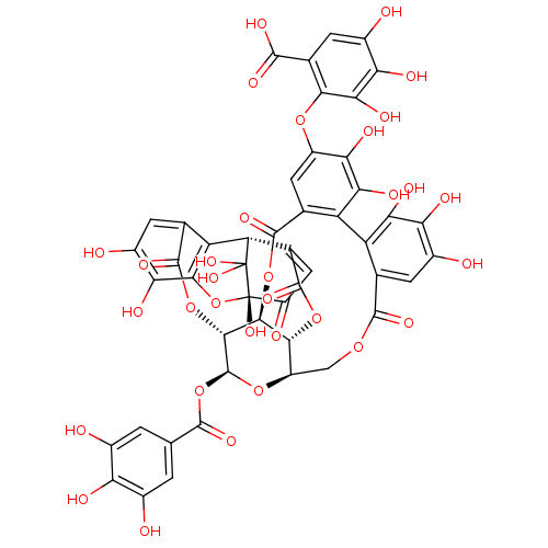 PNG
