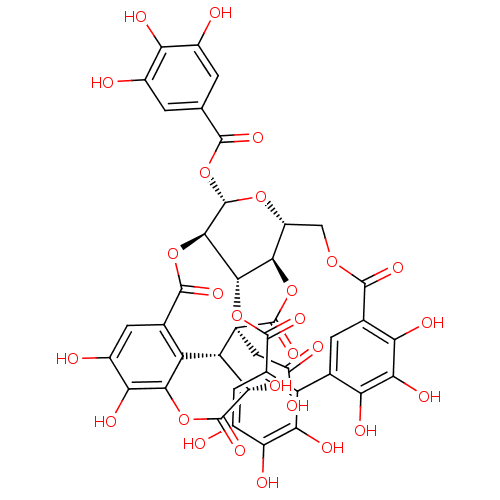 PNG