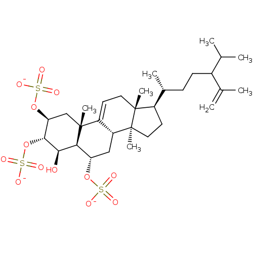 PNG
