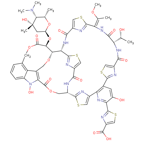PNG