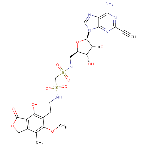 PNG