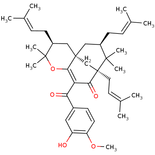 PNG