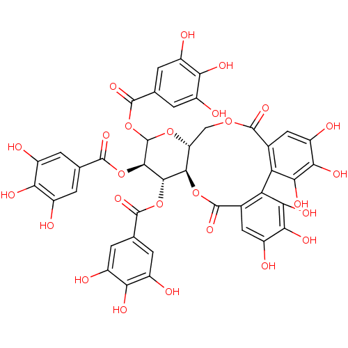 PNG