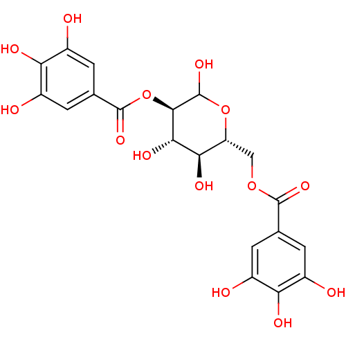 PNG