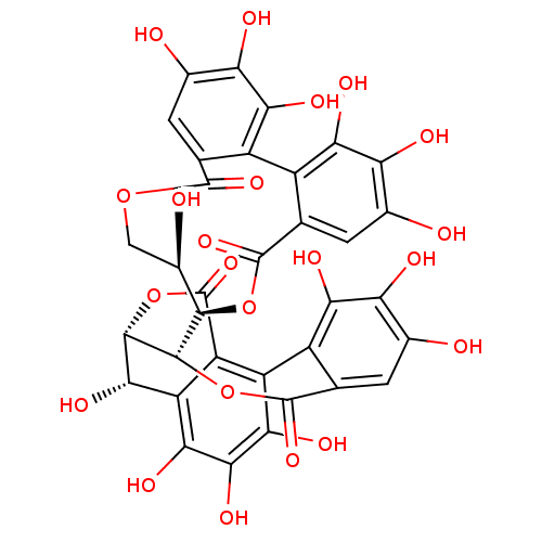 PNG