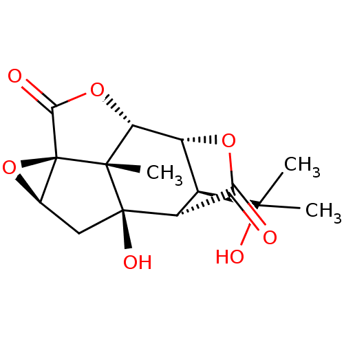 PNG
