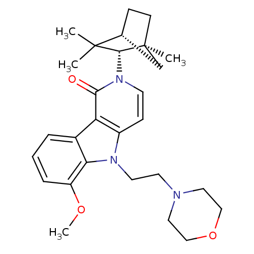 PNG