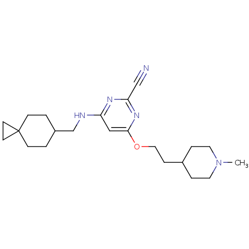 PNG