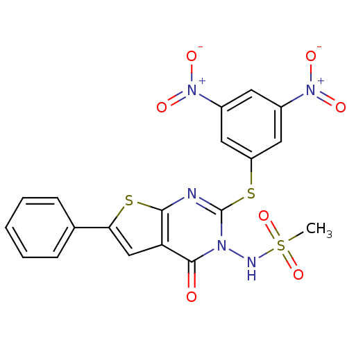 PNG