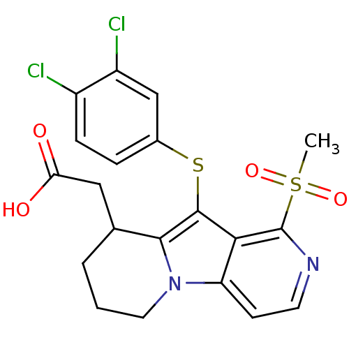 PNG
