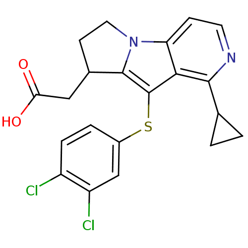 PNG