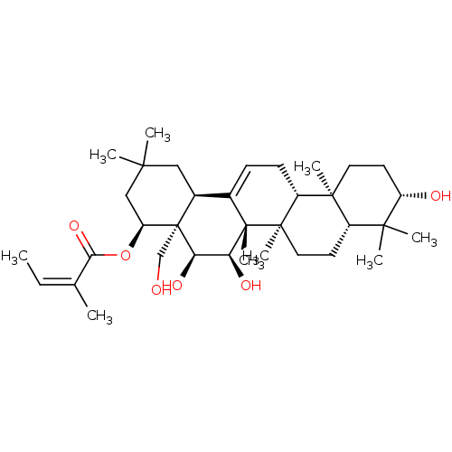 PNG