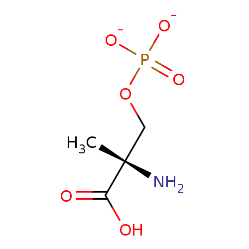 PNG