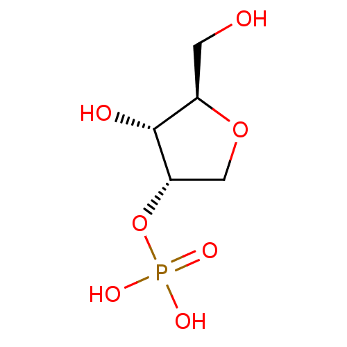PNG