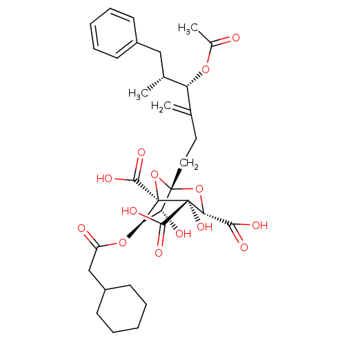 PNG