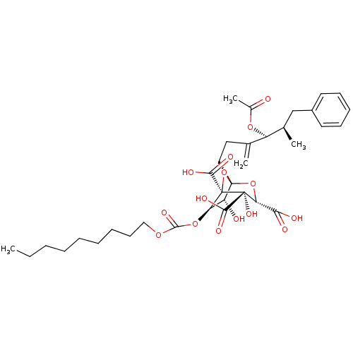 PNG