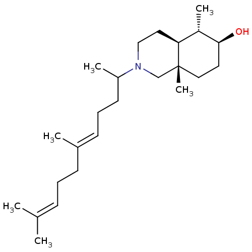 PNG