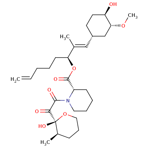 PNG