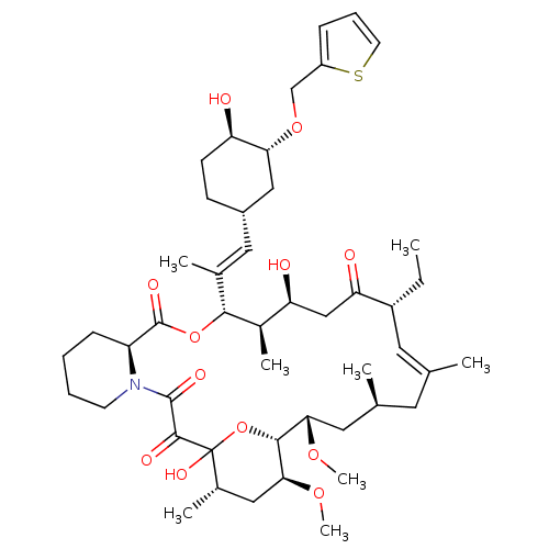 PNG