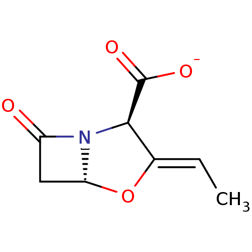 PNG