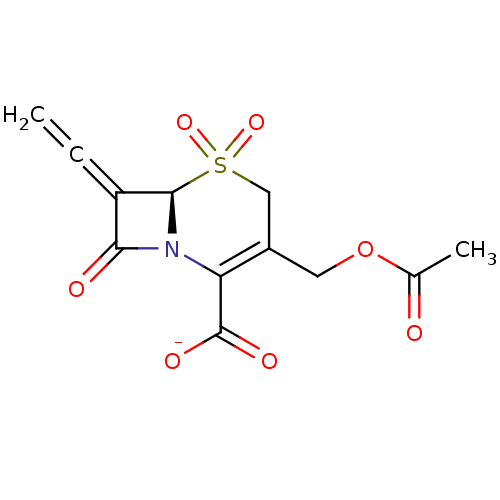 PNG