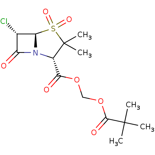 PNG