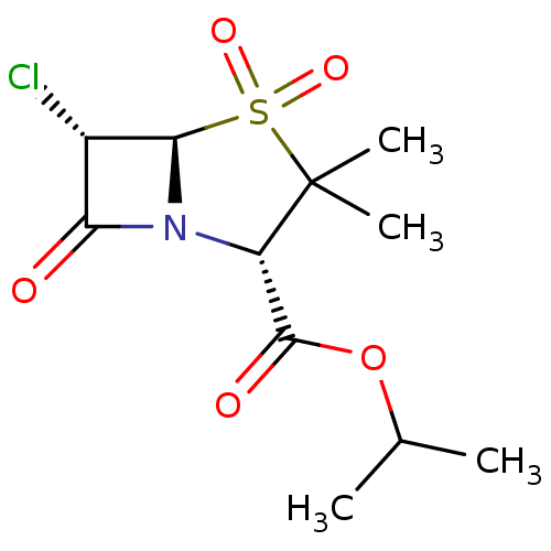 PNG