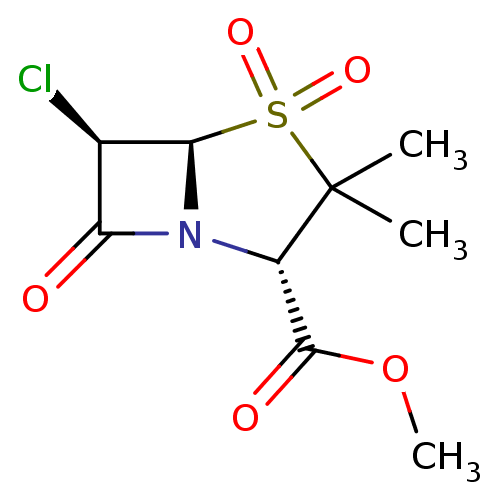 PNG