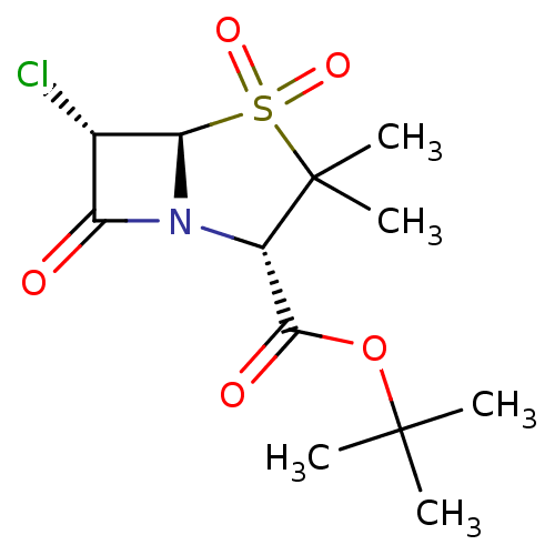 PNG
