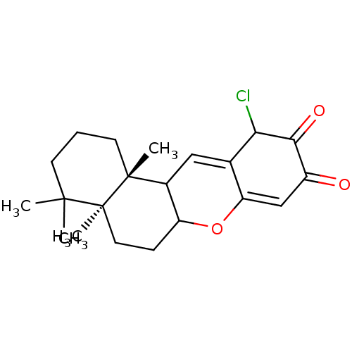 PNG
