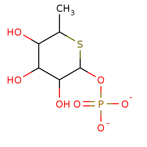 PNG