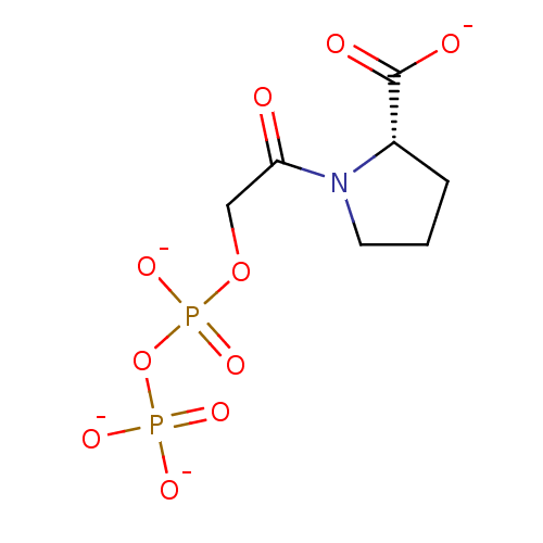 PNG
