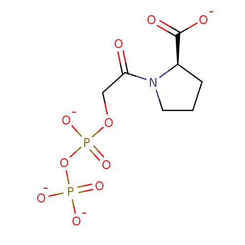 PNG