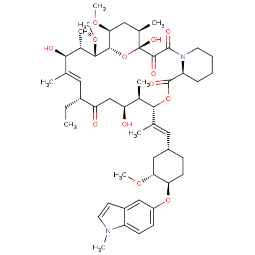 PNG